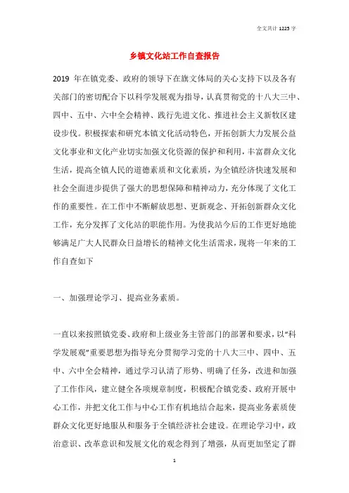 乡镇文化站工作自查报告