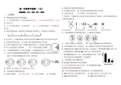 高中生物必修一：第六章 细胞增殖、分化、衰老、调亡、癌变题