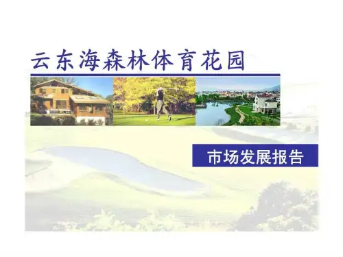 合富辉煌佛山云东海森林体育花园市场发展报告共108页文档