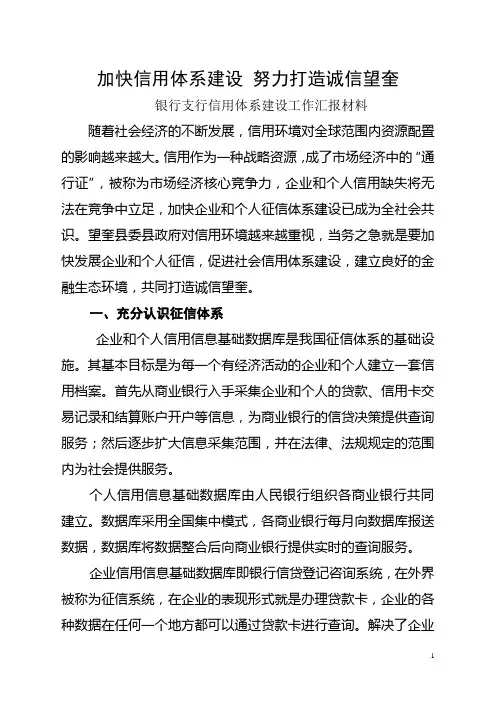银行支行信用体系建设工作汇报材料 