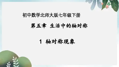 七年级数学下册5.1轴对称现象课件新版北师大版