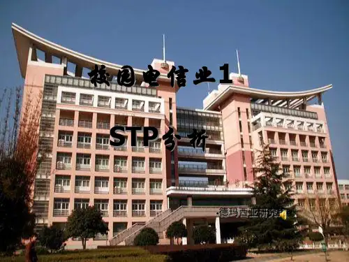 校园电信业STP分析1