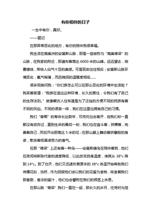 初二作文：有你相伴的日子作文600字
