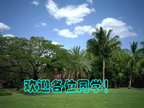 篮球规则简介