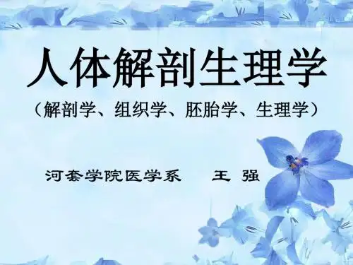 人体解剖学生理学-心(河套学院-王强)