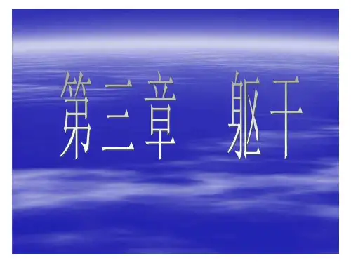 艺用解剖——解剖躯干