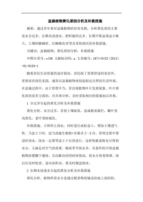 盆栽植物黄化原因分析及补救措施