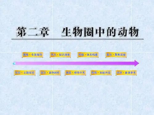 初中生物  生物圈中的动物 济南版精品课件