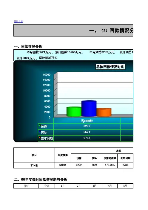 预算分析模板