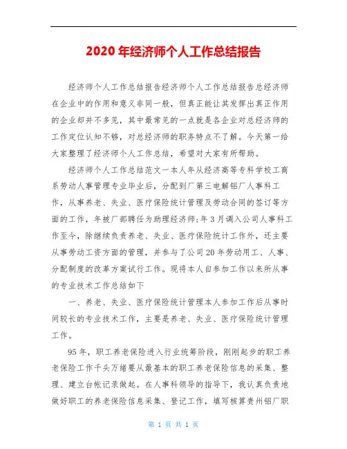 2020年经济师个人工作总结报告