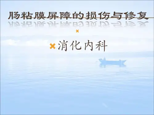 肠粘膜屏障