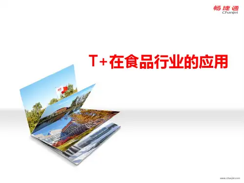 T+在食品行业的应用案例