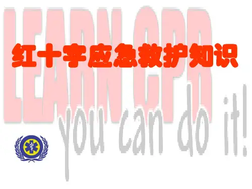红十字应急救护知识培训课件PPT(共 59张)