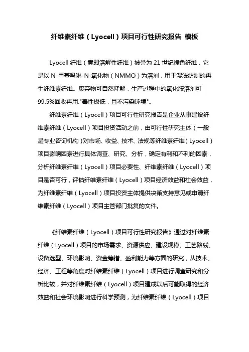 纤维素纤维(Lyocell)项目可行性研究报告 模板