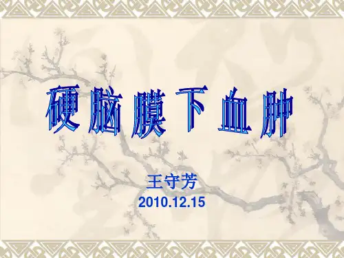 硬膜下血肿PPT课件