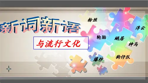新词新语与流行文化2018 ppt课件