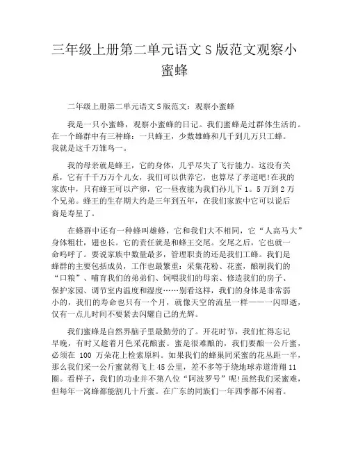 三年级上册第二单元语文S版范文观察小蜜蜂