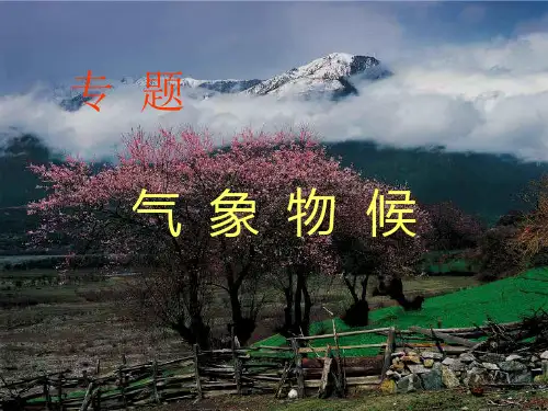 古代诗词中的物候