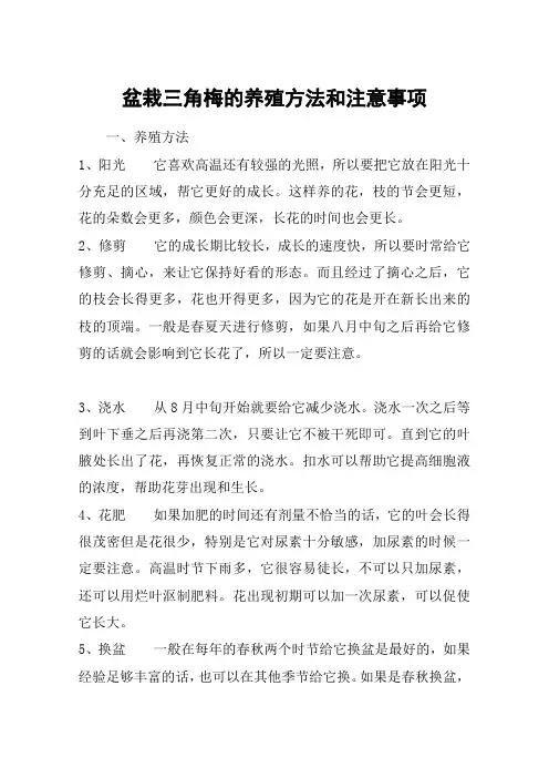 盆栽三角梅的养殖方法和注意事项