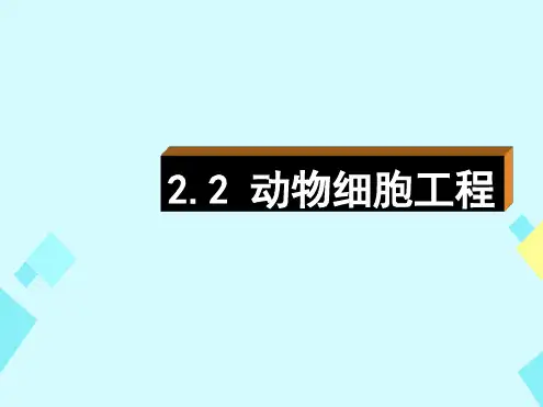 高中生物专题2第2节动物细胞工程课件新人教选修3