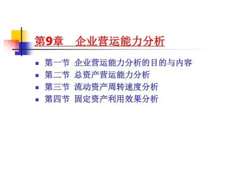 《财务分析》2013版(9)