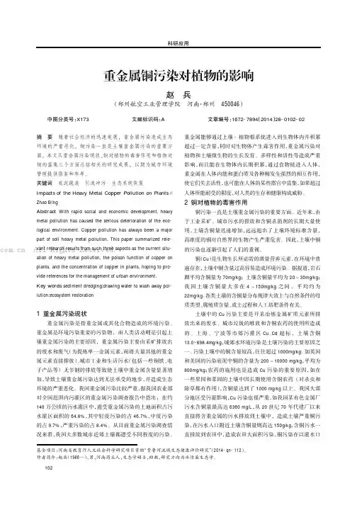 重金属铜污染对植物的影响