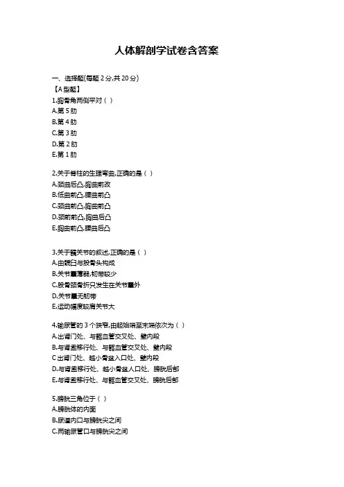 临床解剖学试卷含答案