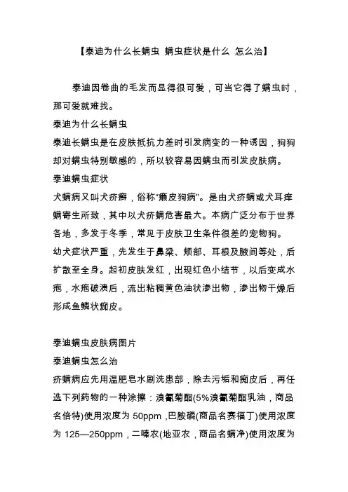 【泰迪为什么长螨虫 螨虫症状是什么 怎么治】