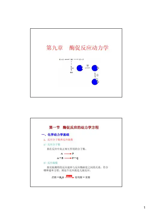 酶促反应动力学