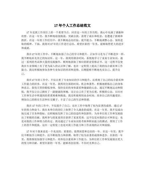 17年个人工作总结范文