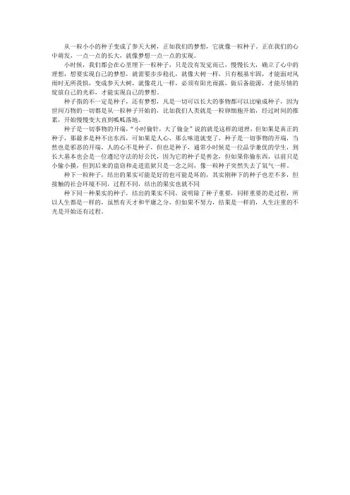 种下一粒种子 2