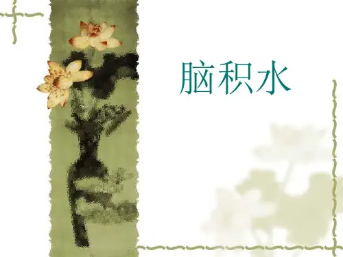 脑积水护理查房