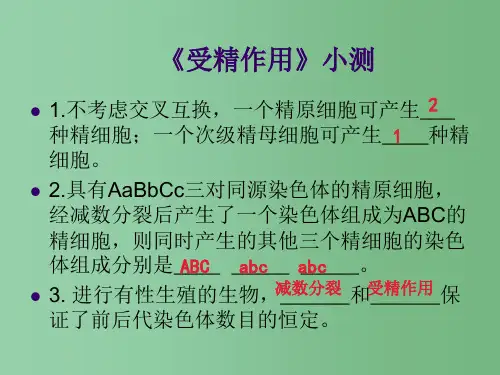 高中生物 第二章 第二节《基因在染色体上》 新人教版必修2