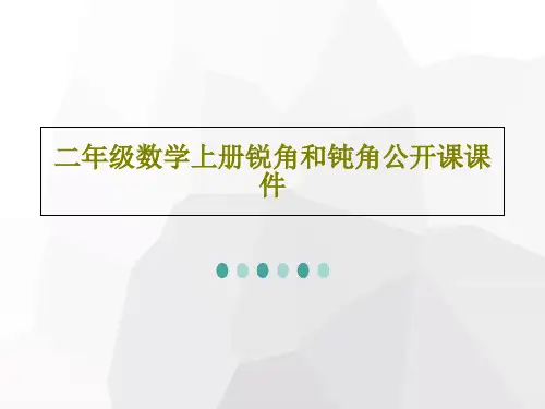 二年级数学上册锐角和钝角公开课课件共22页
