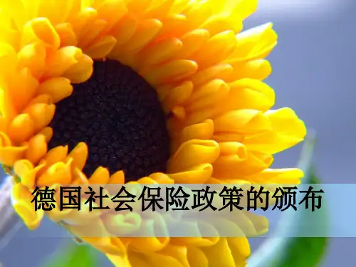 德国社会保险政策..