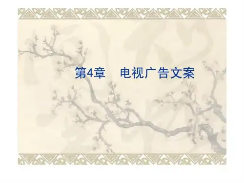 广告文案写作 第4章 电视广告文案