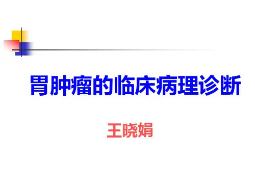 胃肿瘤病理