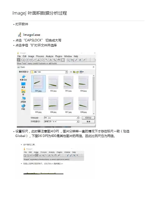 imagej 叶面积数据分析过程