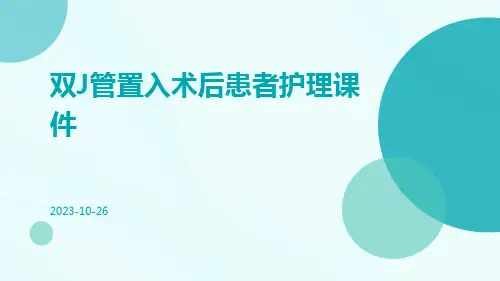 双J管置入术后患者护理课件