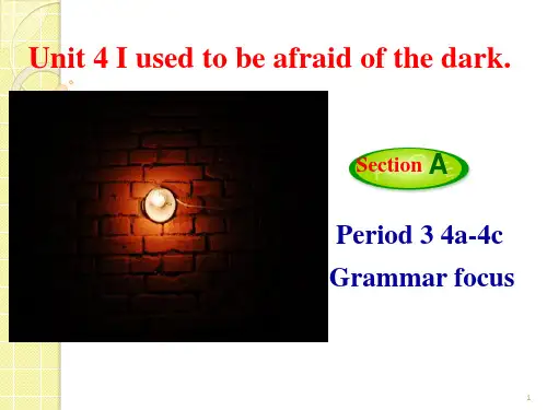 unit 4 Section A(Grammar Focus-4c)课件人教版英语九年级全册