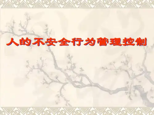 人不安全行为的安全管理(PPT46页)