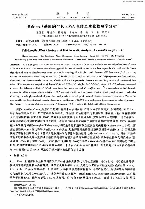 油茶SAD基因的全长cDNA克隆及生物信息学分析