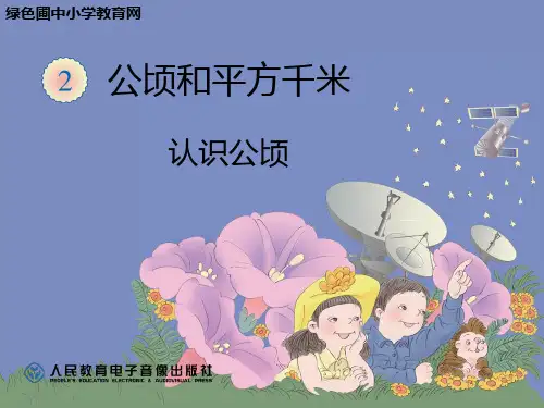 小学人教四年级数学认识公顷