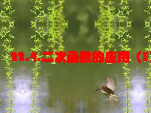 22.4_二次函数的应用实际问题
