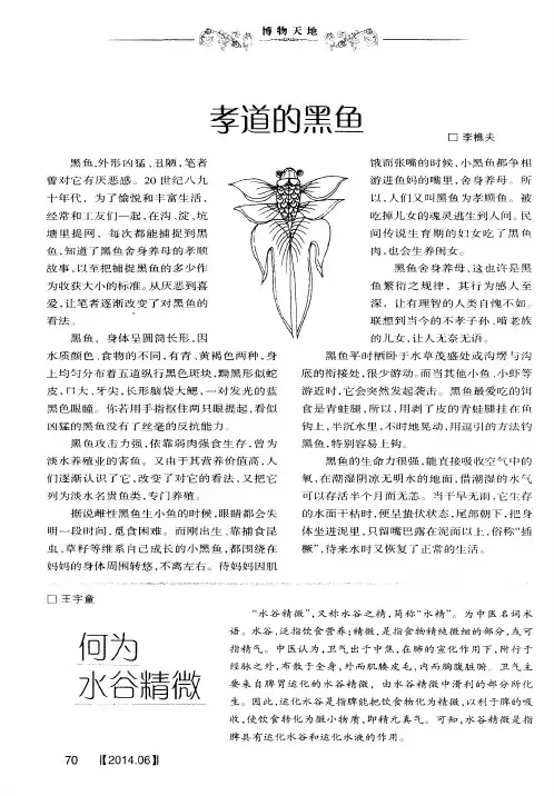 孝道的黑鱼