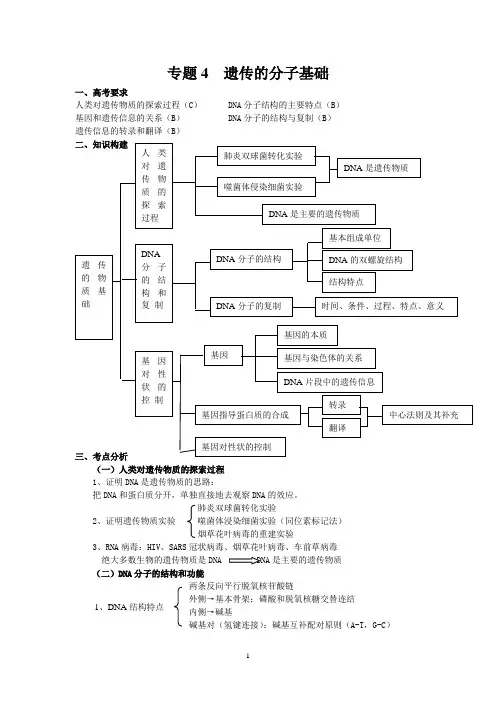 专题4遗传的细胞基础和分子基础