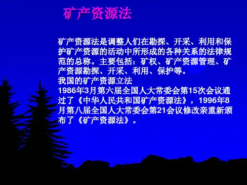 2020年11-矿业权评估参照模板可编辑