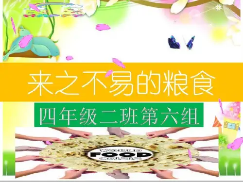 来之不易的粮食19页PPT