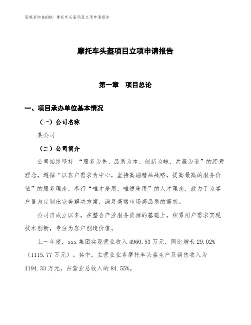 摩托车头盔项目立项申请报告(总投资4790万元)