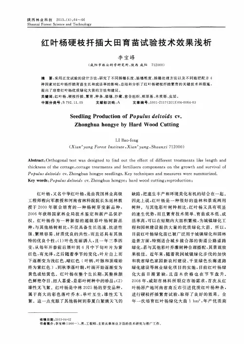 红叶杨硬枝扦插大田育苗试验技术效果浅析